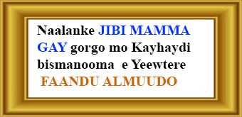 Musido JIBI MAMMA GAY