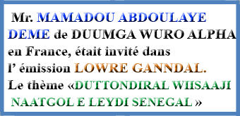Mr. MAMADOU ABDOULAYE DEME