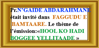 NGaide ABDARAHMANE (Bassel)