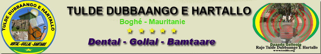 LOGO DE TOULDE WEBSITE